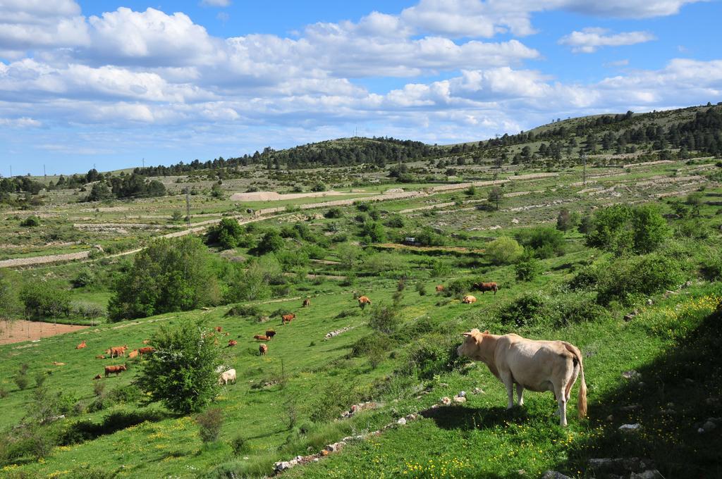 Bojar Casa Rural El Boixar - El Mirador מראה חיצוני תמונה