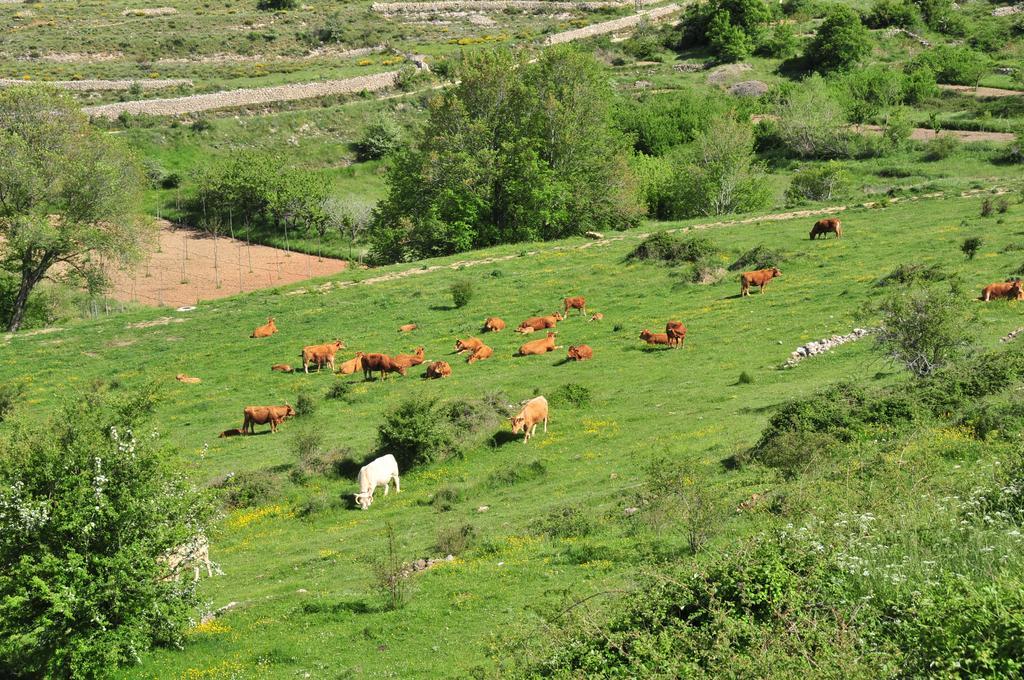 Bojar Casa Rural El Boixar - El Mirador מראה חיצוני תמונה